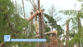 Audros padariniai Utenos rajone  dalis gyventojų liko be elektros, kai kur keliai užversti lūžusiais