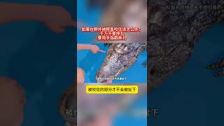 如果在野外被鳄鱼咬住该怎么办？千万不要挣扎，要用手指戳鼻孔 #科普一下 #涨见识 #动画演示 #你不知道的事 #dou是知识点