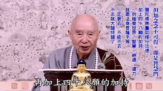 但知念念不可得，即是智慧門｜念念相續是俗諦；同時知道念念不可得，那就是真諦｜真諦不妨礙俗諦，俗諦不妨礙真諦：理一心不亂｜一直念下去，念念都有所得：事一心不亂｜若始學者，未能破相。但能依相專至，無不往生