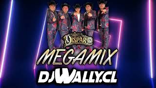 MIX GRUPO DISPARO DJ WALLY