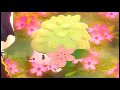 Can you still get shaymin?
