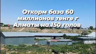 Откорм площадка (база) на продажу. на 150 голов КРС г Алматы