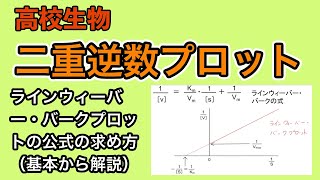 高校生物「二重逆数プロット（ラインウィーバー・バークプロット）の公式の求め方」