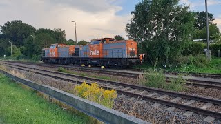 2x V100 Dieselloks der  HVLE