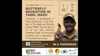 Butterfly Migration in Tamil Nadu | Butterfly and Bee Awareness Week |  A. Pavendhan