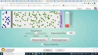 Diffusion Simulation: Guided Activity 1 & 2