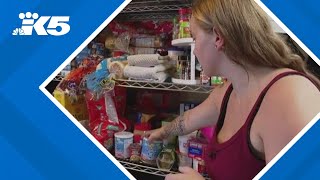 Guaranteed income being studied on Olympic Peninsula