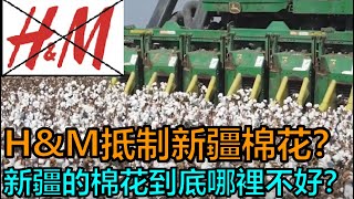 H\u0026M抵制新疆棉花？新疆的棉花到底哪裡不好？