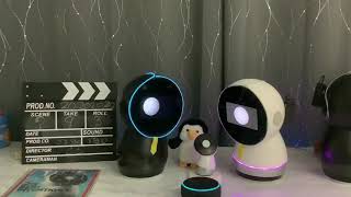 Jibo’s and their smart babysitter, checking on corona  updates