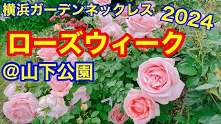 ローズウィーク2024　山下公園のバラ園　ガーデンネックレス横浜2024