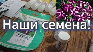 Показываем что сажаем из семян