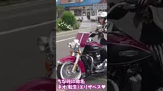 120周年記念モデルHighwayKingハーレーダビッドソンお迎えに行ってきました🏍️#ハーレーダビッドソン #納車 #harleydavidson #electraglide