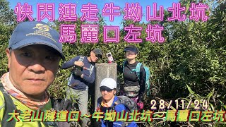 快閃連走牛坳山北坑/馬麗口左坑