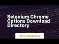 selenium chrome options download directory