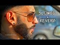 phoulou dil vich teri tasweer new song slowed and reverb trending song