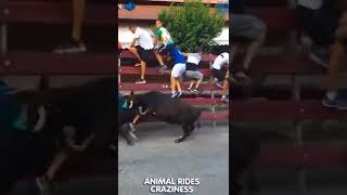 Man gored in Spanish Bull Run