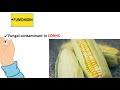 MICROBIAL GROWTH & FOOD SPOILAGE  FOOD MICROBIOLOGY  BIOLOGY UNIVERSITY