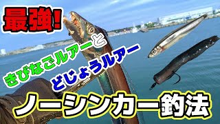 【太刀魚】最強な太刀魚の釣り方!ノーシンカー釣法～きびなごルアーとどじょうルアー～