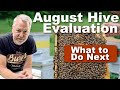 Beekeeping Hive Evaluation For August