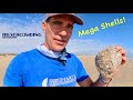 Beachcombing - Mega Shells