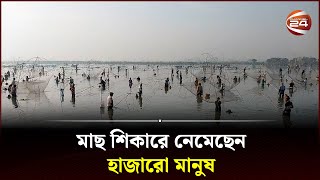 পাবনার রুহুল বিলে চলছে মাছ ধরার বাউত উৎসব | Fishing Festival | Ruhul Bill | Pabna | Channel 24