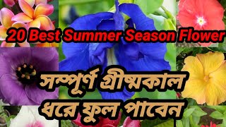 20 Best Summer flowers plants|| গরমকালে কি কি ফুল গাছ করবেন || গরমের সেরা ২০ টি ফুল গাছ || #flowers