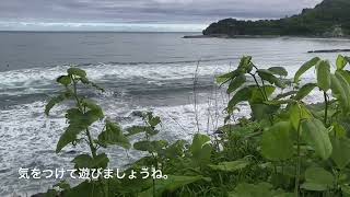 小樽市塩谷海岸の様子をお届けします。2022年6月5日（日）