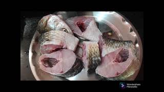 Naini fish 🎏 of Gandak River|| गंडक नदी फ्रेश मछली - नैनी मछली ||स्वाद लाजाबाब