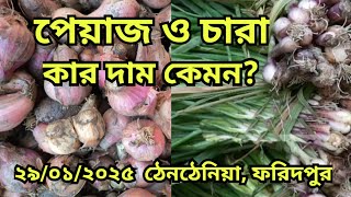 29/01/2025 পেঁয়া‌জ ও পেয়া‌জের চারার আজ‌কের বাজার দর || Onion market price today ||