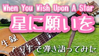 【When You Wish Upon A Star / 星に願いを】弾き語りカバー＠江戸川 / 丸山詩乃