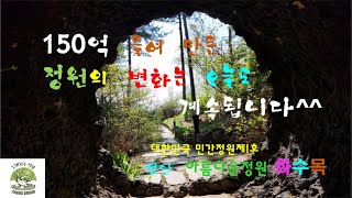 아름다운정원 화수목 2#150억 들여 만든 정원의 변화는 오늘도 계속됩니다