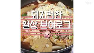 [먹방] 돼지런한 일상의 브이로그 🐷