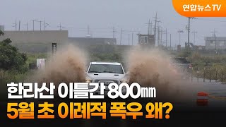 한라산 이틀간 800㎜…5월 초 이례적 폭우 왜 / 연합뉴스TV (YonhapnewsTV)