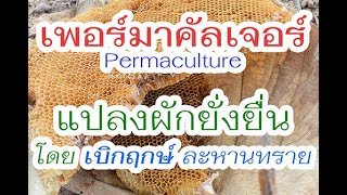 permaculture แปลงผักยั่งยืน (ตอนที่ 1) โดย เฮียเบิกฤกษ์ ละหานทราย