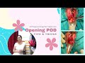 Opening POD_ Tips & Tricks | Prevent complications in Vaginal Hysterectomy | Dr Deeksha Pandey