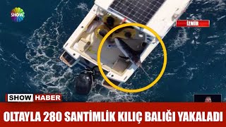 Oltayla 280 santimlik kılıç balığı yakaladı