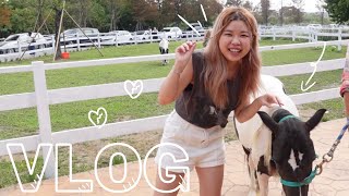 how become a cowboy？｜cowboy manor ｜qianshuiwan【sanzhi vlog】