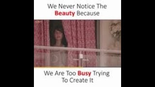 We never notice the beauty because we are too busy trying to create it