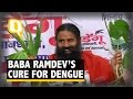 Baba Ramdev Finds Ayurvedic Cure For Dengue