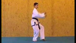 ITF Taekwon-Do Patterns (2 of 14) Saju Makgi