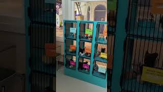 Fort Bend Children's Discovery Center