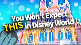 What You SHOULD \u0026 SHOULDN'T Expect in Walt Disney World Right Now