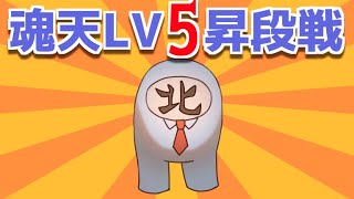 【雀魂/麻雀】王座の間　魂天Lv5昇段戦(現在19.0)【VTuber/七ツ星北賽】