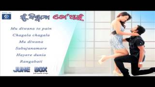 Odia Movie | Mu Diwana To Pain | Full Audio Songs | Jukebox