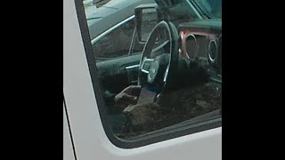 3 Distracted Drivers - CWHF515 Ontario, AZDC291 Ontario, AVKV085 Ontario