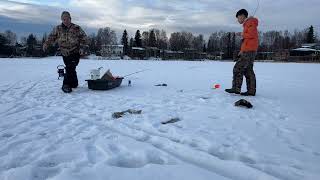 First ice fishing of 2024 (trout lake fishing) local lakes in Anchorage #fishing #fish #alaska