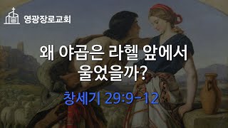 왜 야곱은 라헬 앞에서 울었을까?  (창세기 29:9-12)