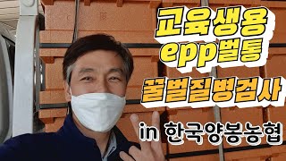 교육생용 epp벌통 수령, 꿀벌검사요령 배웠어요. in 양봉농협,  3분께 선물도....