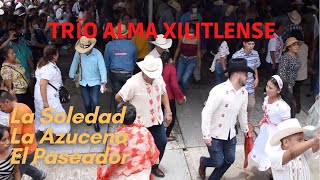 Zapateando La Soledad, La Azucena y El Paseador desde Xilitla 2021 (Alma Xilitlense)