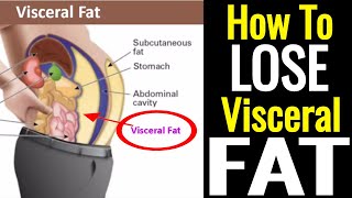 How To Lose Visceral Fat – It's Not As Hard As You Think!